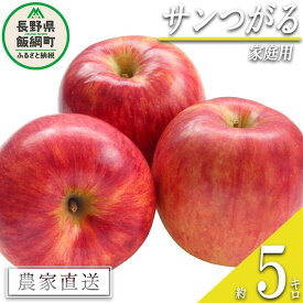 【ふるさと納税】 りんご サンつがる 家庭用 5kg 沖縄県への配送不可 令和6年度収穫分 宮本ファーム エコファーマー 減農薬栽培 長野県 飯綱町 〔 リンゴ 林檎 果物 フルーツ 信州 長野 11000円 予約 農家直送 〕発送期間：2024年9月上旬～2024年9月下旬