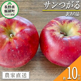 【ふるさと納税】 りんご サンつがる 訳あり 10kg 沖縄県への配送不可 令和6年度収穫分 宮本ファーム エコファーマー 減農薬栽培 長野県 飯綱町 〔 リンゴ 林檎 果物 フルーツ 信州 長野 14000円 〕発送期間：2024年9月上旬～2024年9月下旬