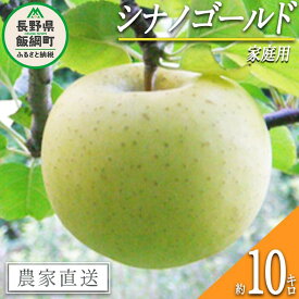 【ふるさと納税】 りんご シナノゴールド 家庭用 10kg ヤマウラ農園 沖縄県への配送不可 令和6年度収穫分 長野県 飯綱町 〔 信州 果物 フルーツ リンゴ 林檎 長野 予約 農家直送 〕発送時期：2024年11月上旬～2024年11月下旬 {**}