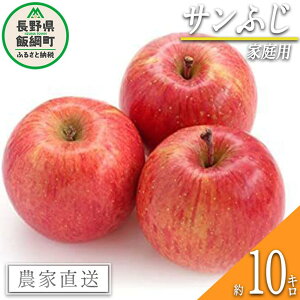 yӂ邳Ɣ[Łz  Tӂ ƒpE󂠂 10kg Go_ ߘa7Nxn 쌧 эj k MB ʕ t[c S ь  20000~ \ _ƒ lF2025N11{