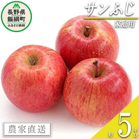 【ふるさと納税】 りんご サンふじ 家庭用 5kg エバラ農園 沖縄県への配送不可 令和6年度収穫分 長野県 飯綱町 〔 信州 果物 フルーツ リンゴ 林檎 長野 13000円 予約 農家直送 〕発送時期：2024年11月中旬～2024年12月中旬 {**}