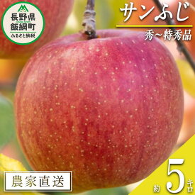 【ふるさと納税】 りんご サンふじ 秀 ～ 特秀 5kg マルハ農園 沖縄県への配送不可 令和6年度収穫分 エコファーマー認定 長野県 飯綱町 〔 信州 果物 フルーツ リンゴ 林檎 長野 20000円 予約 農家直送 〕発送時期：2024年12月上旬～2024年12月下旬