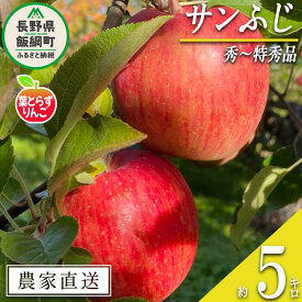 【ふるさと納税】 りんご 葉とらず サンふじ 秀 〜 特秀 5kg フレッシュフルーツミカズキ 令和7年度収穫分 長野県 飯綱町 〔 信州 果物 フルーツ リンゴ 林檎 長野 予約 農家直送 〕発送時期：2025年11月下旬〜2026年1月下旬 {***}