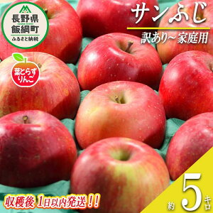 yӂ邳Ɣ[Łz  tƂ炸 Tӂ 󂠂 ` ƒp 5kg ̂ꂽĂ𔭑 tbVt[c~JYL ꌧւ̔zs ߘa7Nn 쌧 эj k  s S ʕ t