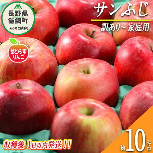 yӂ邳Ɣ[Łz  tƂ炸 Tӂ 󂠂`ƒp 10kg ̂ꂽĂ𔭑 tbVt[c~JYL ߘa7Nn 쌧 эj k  s S ʕ t[c MB  \ 