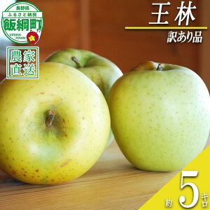 yӂ邳Ɣ[Łz   5kg 󂠂 AOt@[ ꌧւ̔zs k ʕ t[c ь  \ _ƒ s KiO 5L 13000~ lyߘa7Nxnz F2025N1