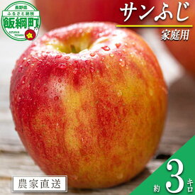 【ふるさと納税】 りんご サンふじ 3kg 家庭用 相澤農園 沖縄県への配送不可 〔 果物 フルーツ 林檎 長野 予約 農家直送 3キロ 11000円 〕【令和7年度収穫分】 発送：2025年11月中旬〜