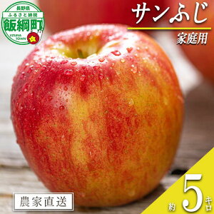 yӂ邳Ɣ[Łz  Tӂ 5kg ƒp V_ ꌧւ̔zs k ʕ t[c ь  \ _ƒ 5L 15000~ lyߘa7Nxnz F2025N11{`