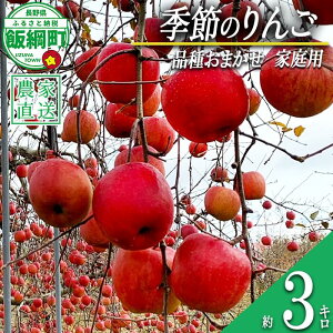 yӂ邳Ɣ[Łz  G߂̂ 3kg ƒp Farm Grand Gift ꌧւ̔zs k ʕ t[c ь  \ _ƒ 3L 12000~ lyߘa7Nxnz F2025N9{`