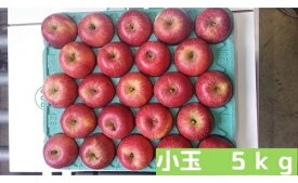 【ふるさと納税】【先行予約】飯綱町 丸茂ファームのりんご サンふじ 小玉 約5kg 【 リンゴ 信州 長野 五キロ 】 お届け：2020年1月中旬〜