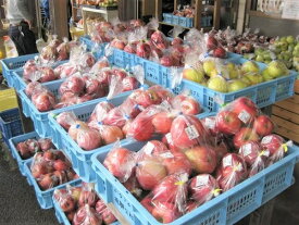 楽天市場 ふるさと納税 商品券の通販