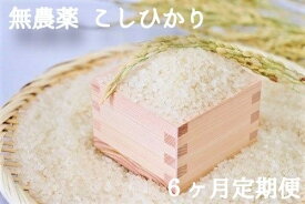 楽天市場 ふるさと納税定期便 無農薬米の通販