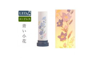 yӂ邳Ɣ[Łz~  R[hX LED