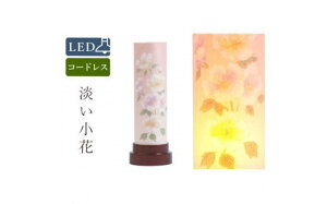 yӂ邳Ɣ[Łz~ W R[hX LED
