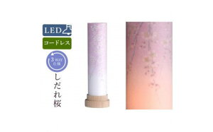 yӂ邳Ɣ[Łz~ V  R[hX LED