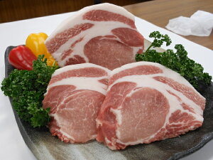 yӂ邳Ɣ[Łz{[m|[N XCXZbg