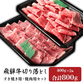 【ふるさと納税】 飛騨牛 切り落とし 計800g 400g × 2パック すき焼き しゃぶしゃぶ 焼肉 小分け 切落とし 赤身 冷凍 国産 牛肉