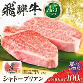 【ふるさと納税】【選べる容量】 飛騨牛 A5等級 シャトーブリアンステーキ ／ シャトー シャトーブリアン ステーキ 最高級 A5 和牛 ヒレ フィレ 希少部位 霜降り 高級肉 ヒレ肉 フィレ肉 お祝い 誕生日 ブランド牛 牛肉 お肉 高級 贈答 ギフト 岐阜市 / 肉の松久[ANIP019]
