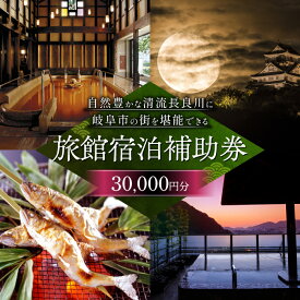 【ふるさと納税】岐阜 長良川温泉宿泊クーポン券（30,000円分） 岐阜 宿泊券 補助券 観光 トラベル 長良川 長良川温泉 岐阜市 / 岐阜長良川温泉旅館協同組合[ANAF003]
