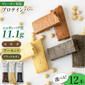 【ふるさと納税】SOYConcept ヴィーガン対応大豆プロテインバー 12本入 低糖質 ソイバー プロテインバー ヴィーガン ビーガン 低カロリー タンパク質 たんぱく質 大豆 岐阜市/長良園[ANAK002]