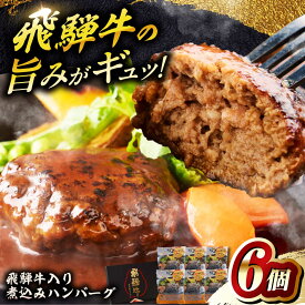 【ふるさと納税】飛騨牛入り煮込みハンバーグ6個 牛肉 簡単調理 国産 飛騨牛 煮込み ハンバーグ はんばーぐ 煮込みハンバーグ 簡単調理 時短 国産 牛肉 惣菜 弁当 おかず 岐阜市 / だるまミート [ANBE028]