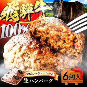 �y�ӂ邳�Ɣ[�Łz��ˋ� 100%���n���o�[�O 6�� ���� ������ ���y�� �򕌎s / ����܃~�[�g[ANBE029]