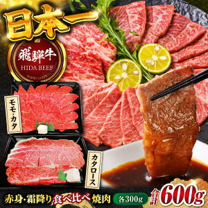 yӂ邳Ɣ[ŁzyˋzԐg(EJ^)E~(o)ē(e300g)v600g BBQ Ԑg [X 򕌎s/ەX[ANBO023]