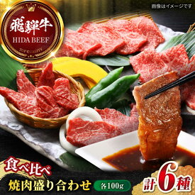 【ふるさと納税】【選べる発送月】【飛騨牛】食べ比べ 焼肉盛り合わせ6種 各100g 和牛 牛肉 飛騨牛 ひだぎゅう 焼肉 やきにく ミスジ イチボ 希少部位 食べ比べ 盛り合わせ 岐阜市/丸福商店 [ANBO027]