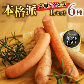 【ふるさと納税】ソーセージ マイスター直伝手作りソーセージ Lセット ウインナー チョリソー ミートローフ 人気 詰め合わせ セット 食べ比べ 燻製 スモーク 本格的 おつまみ 朝食 お弁当 お試し キャンプ ギフト 岐阜市/ドイツデリカテッセン クリンゲン[ANBQ012]