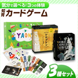 【ふるさと納税】知育カードゲーム3種セット 「岐阜あるあるカルタ-YAONE-/シロブシン/ワードコンセプ塔」 お城 対戦 年末年始 岐阜市 / ヨツハシ[ANDD014]