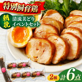 【ふるさと納税】朝挽き 清流美どり イベントセット 2種 6点 鶏肉 若鶏 お取り寄せ 岐阜市/若鶏の春近[ANDL002]