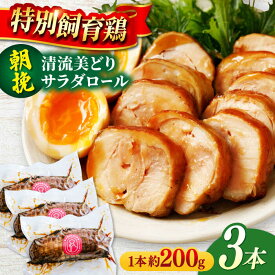 【ふるさと納税】朝挽き 清流美どり チキンロール3本 鶏肉 若鶏 お取り寄せ 岐阜市/若鶏の春近[ANDL005]