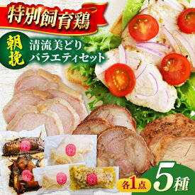 【ふるさと納税】朝挽き 清流美どり バラエティ5点セット 鶏肉 若鶏 お取り寄せ 岐阜市/若鶏の春近[ANDL007]