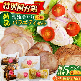 【ふるさと納税】【3回定期便】 朝挽き 清流美どり バラエティ5点セット 鶏肉 若鶏 お取り寄せ 岐阜市 / 若鶏の春近[ANDL012]