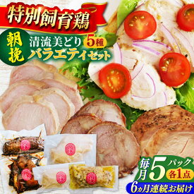 【ふるさと納税】【6回定期便】 朝挽き 清流美どり バラエティ5点セット 鶏肉 若鶏 お取り寄せ 岐阜市 / 若鶏の春近[ANDL013]