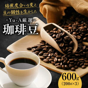 yӂ邳Ɣ[ŁzR[q[ 蓤 600gi200g×3j uh [Xg  R[q[ [Ё[ hbv vX IWi   lC 3 lߍ킹 ݔ Zbg {iI  