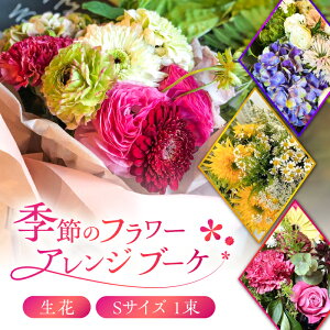 yӂ邳Ɣ[Łzflower stand haco C G߂̃t[AWu[Piԑj STCY  LO ̓ j a t[AWg 򕌎s/flower stand haco[ANED001]