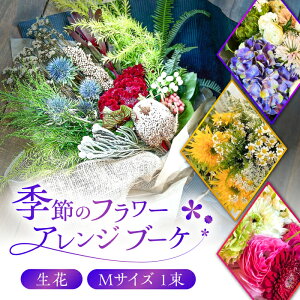 yӂ邳Ɣ[Łzflower stand haco C G߂̃t[AWu[Piԑj MTCY  LO ̓ j a  Mtg 򕌎s/flower stand haco[ANED002]