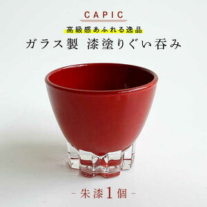 yӂ邳Ɣ[Łzh肵KXۂ 鎽 a  i 򕌎s / CAPIC[ANFK007]