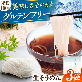 【ふるさと納税】【グルテンフリー】そうめん 細くてもしっかりコシ！ 米粉生そうめん 無添加 グルテンフリー そうめん 米粉麺 生麺 ライスヌードル 素麺 アレルギー対応 小麦粉不使用 めん 麺 ダイエット ヌードル 低カロリー 人気 岐阜市 / 小林生麺株式会社[ANGM003]