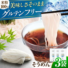 【ふるさと納税】【グルテンフリー】そうめん 細くてもしっかりコシ！ 米粉そうめん グルテンフリー 米粉麺 ヌードル 白米 小麦粉不使用 アレルギー カロリー ダイエット 低たんぱく 生麺 ライスヌードル 素麺 アレルギー対応 ヘルシー 岐阜市 / 小林生麺株式会社[ANGM008]