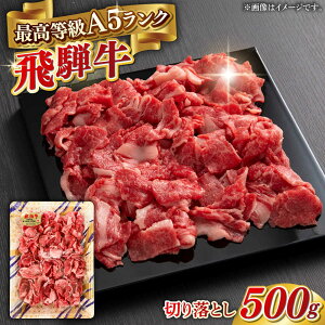 yӂ邳Ɣ[ŁzA5 ˋ ؂藎Ƃ 500g uh ō A5N 򕌎s / OS[ANGY011]