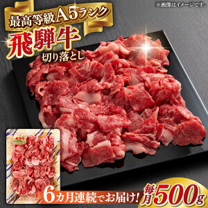 yӂ邳Ɣ[Łzy6ցzA5 ˋ ؂藎Ƃ 500g uh ō A5N 򕌎s / OS[ANGY013]