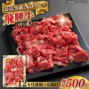 yӂ邳Ɣ[Łzy12ցzA5 ˋ ؂藎Ƃ 500g uh ō A5N 򕌎s / OS[ANGY014]