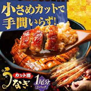 yӂ邳Ɣ[ŁzYJbgȂ 2pbN(1) V   򕌎s / {iYĂȋg[ANHH005]