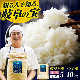 【ふるさと納税】【選べる容量】【令和7年度産】岐阜県産米ハツシモ5kg、10kg ハツシモ はしつも 白米 精米 米 こめ ごはん コメ 5kg 5キロ 10kg 10キロ 岐阜市 / 藍川ファーム [ANHI001]