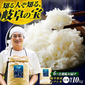 yӂ邳Ɣ[Łzy6ցz򕌌YăncVu̓v10kg ncV ͂     ͂ R 10kg 10L   Ē 򕌎s / t@[ [ANHI006]