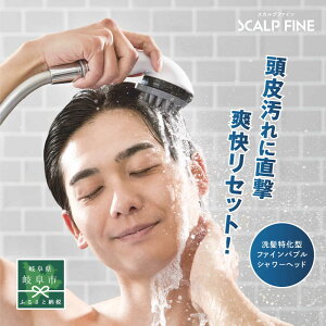 �y�ӂ邳�Ɣ[�Łz�X�J���v�t�@�C���E�X�^�[�^�[�L�b�g TK-A301 �V�����[�w�b�h ���{�� �t�@�C���o�u�� �򕌎s / TKS[ANHK007]