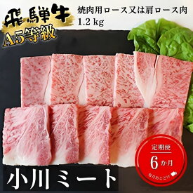 【ふるさと納税】【6ヶ月定期便】A5等級飛騨牛焼き肉用1.2kg ロース又は肩ロース肉