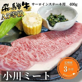 【ふるさと納税】【3ヶ月定期便】A5等級飛騨牛サーロインステーキ用400g